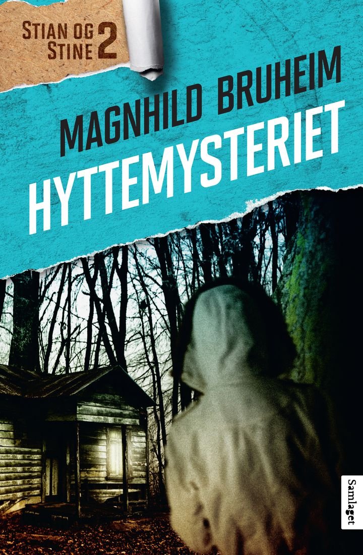 Hyttemysteriet - roman
