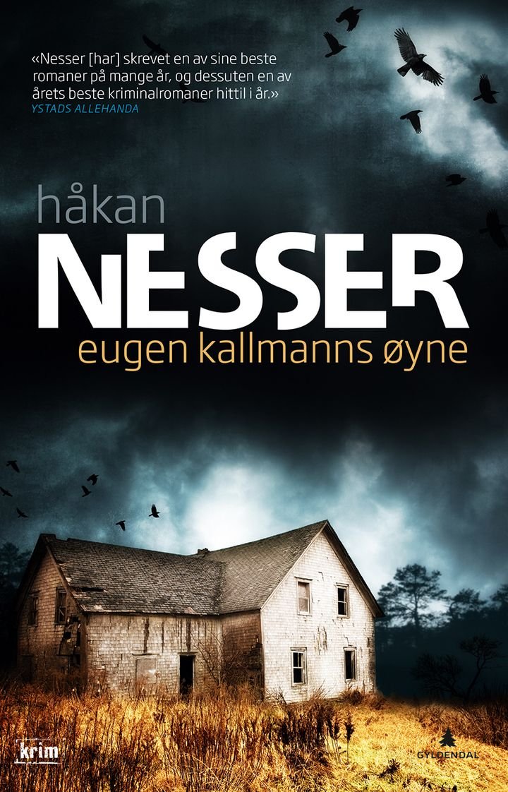 Eugen Kallmanns øyne - roman