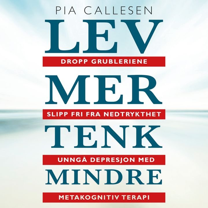 Lev mer tenk mindre