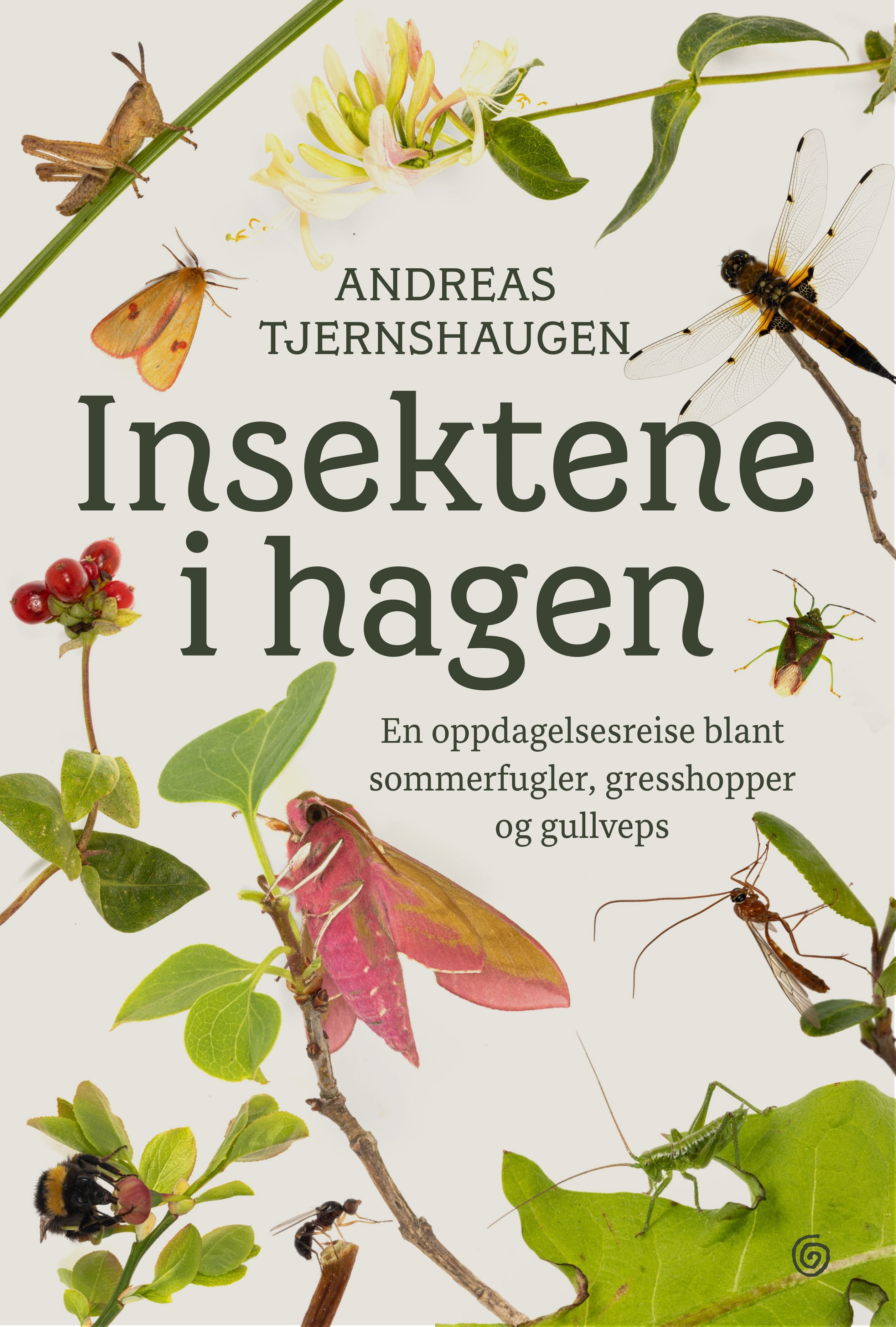 Insektene i hagen - en oppdagelsesreise blant sommerfugler, gresshopper og gullveps