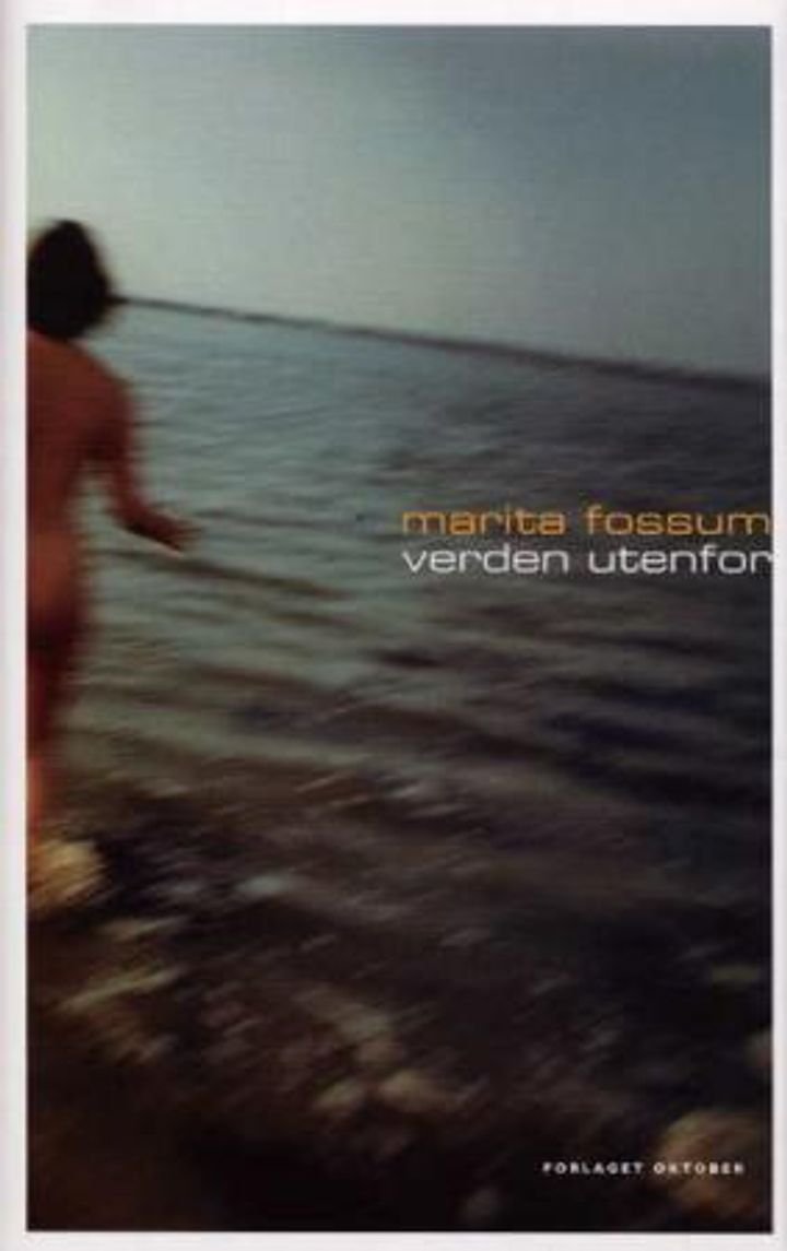 Verden utenfor - roman