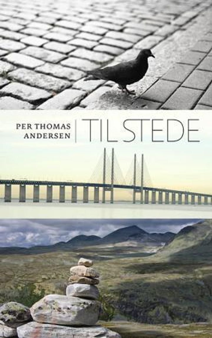 Til stede - essay