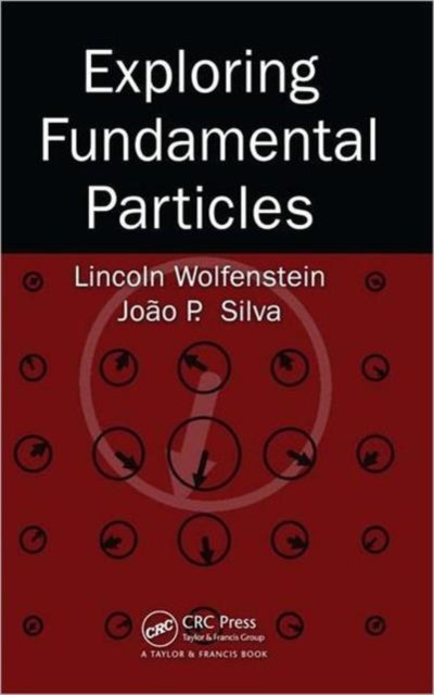 Exploring Fundamental Particles