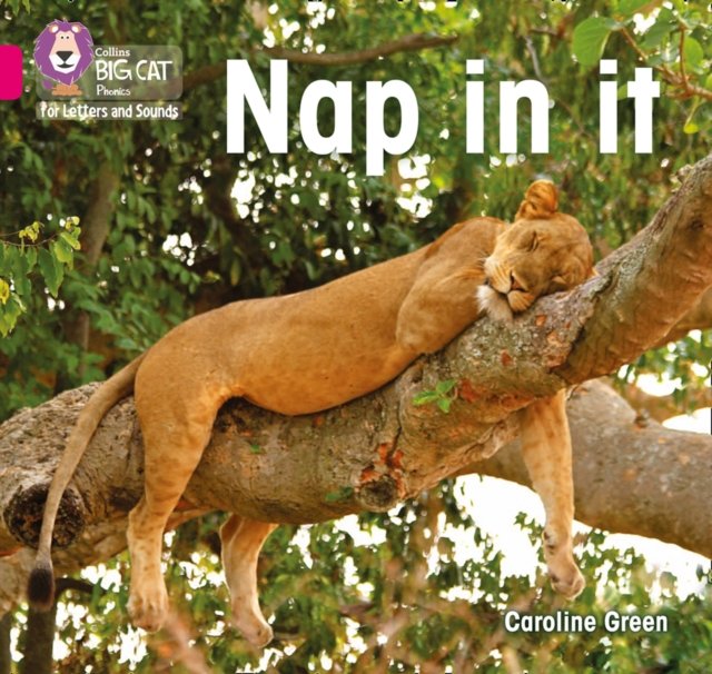 BIG CAT L&S_NAP IN IT