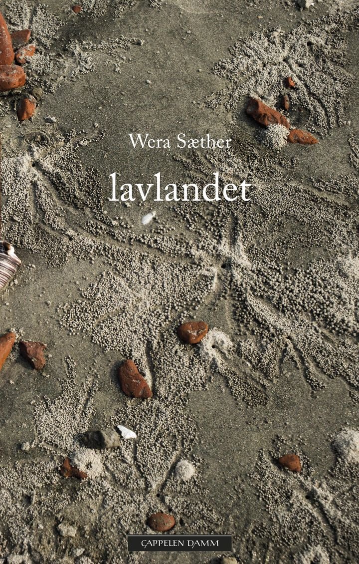 Lavlandet - roman