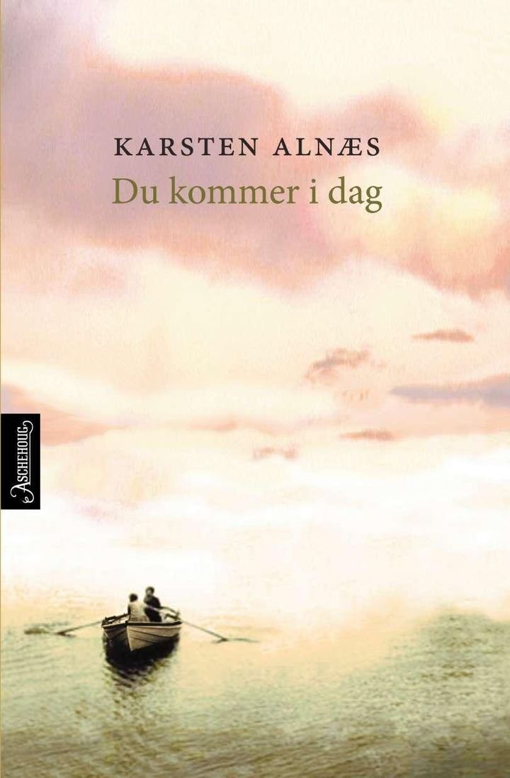 Du kommer i dag - roman