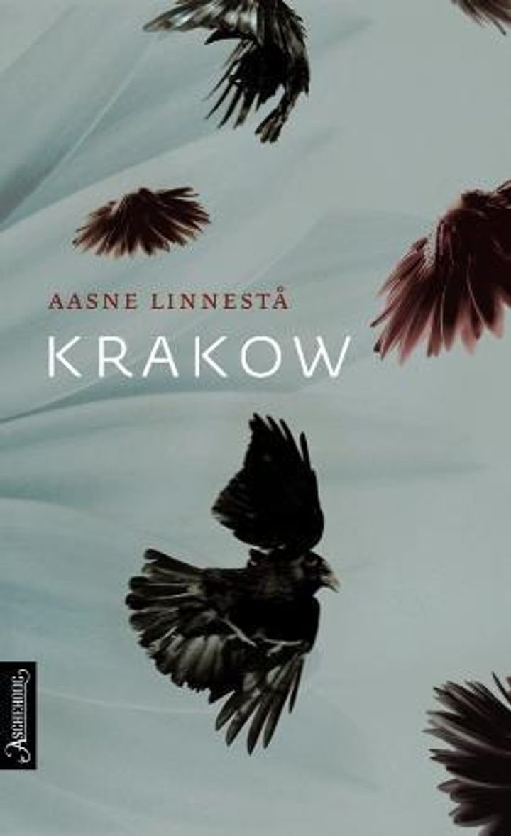 Krakow - roman