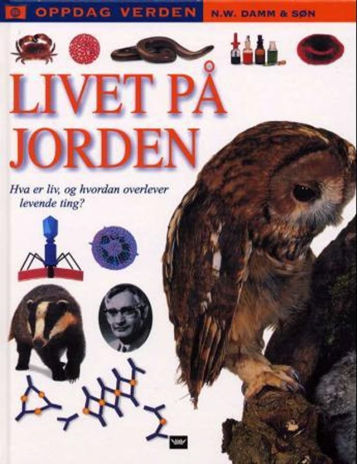 Livet på jorden