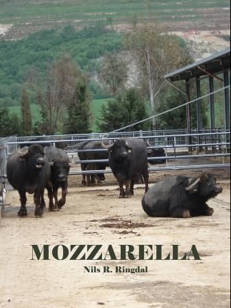 Mozzarella