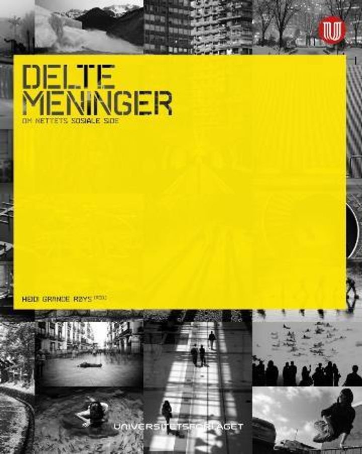 Delte meninger om nettets sosiale side