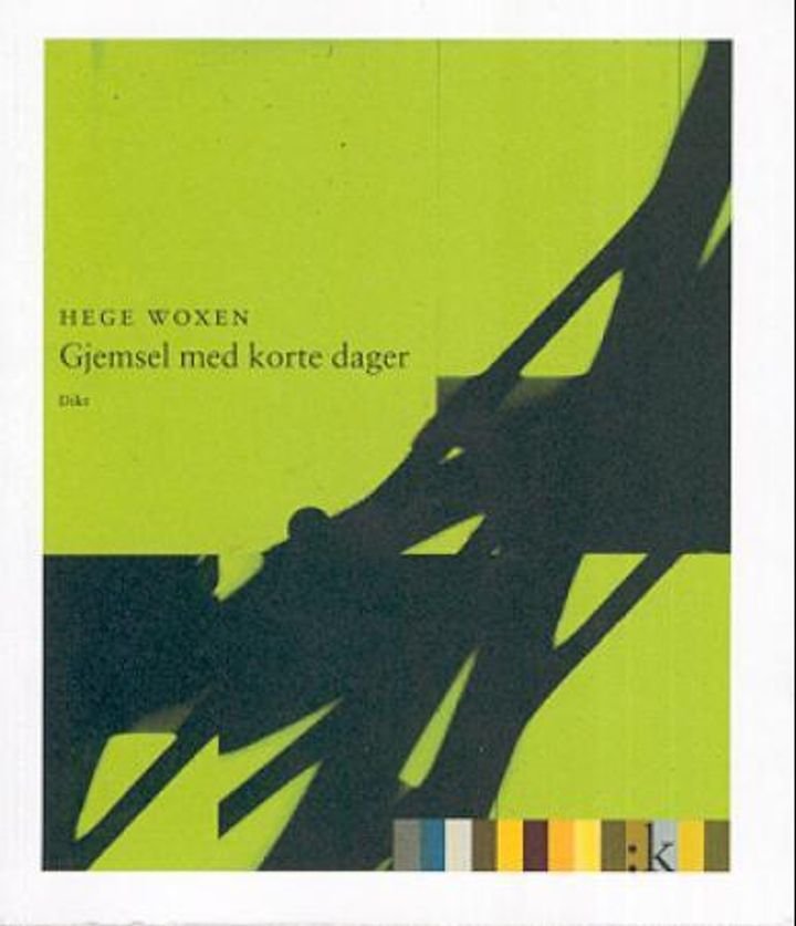 Gjemsel med korte dager - dikt