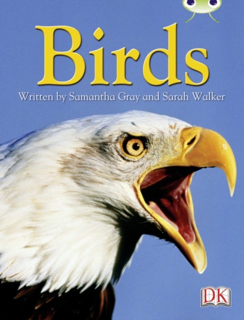 BC NF Grey B/4C Birds