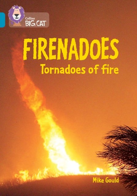 BIG CAT_FIRENADOES