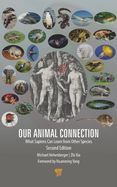 Our Animal Connection