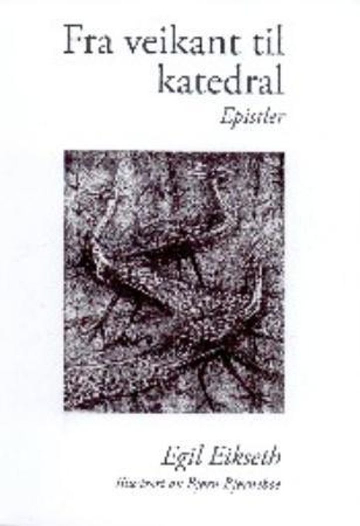 Fra veikant til katedral - epistler