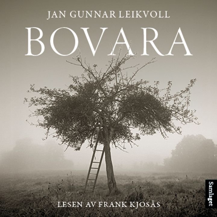 Bovara - roman