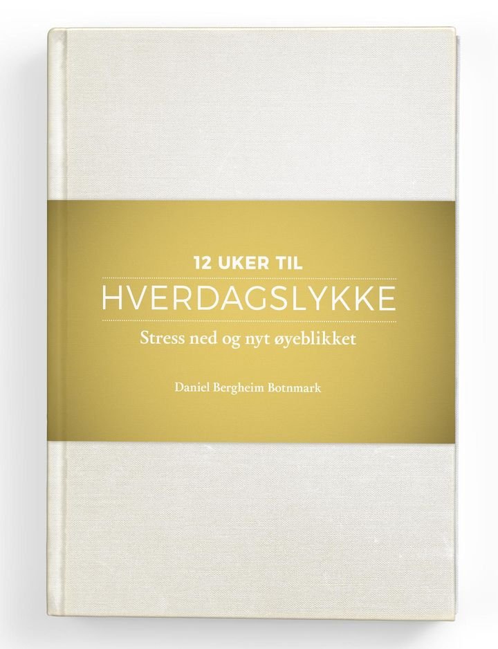 Hverdagslykke