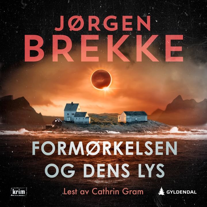 Formørkelsen og dens lys - kriminalroman