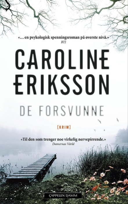 De forsvunne