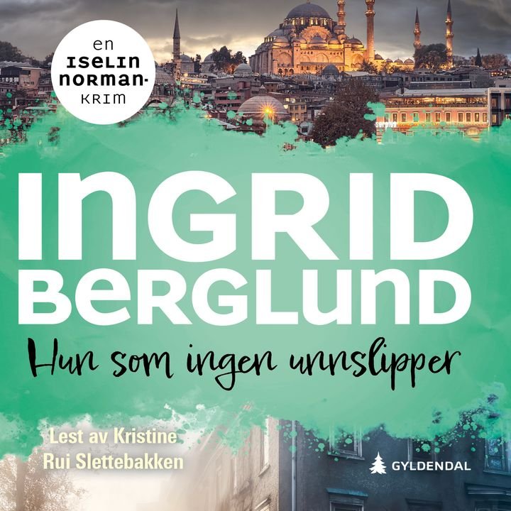 Hun som ingen unnslipper - kriminalroman