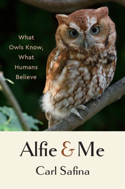 Alfie and Me – What Owls Know, What Humans Believe