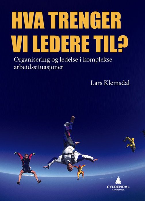 Hva trenger vi ledere til?