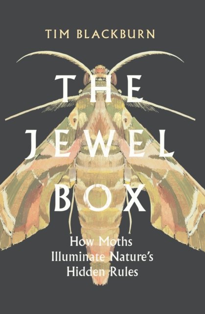The Jewel Box