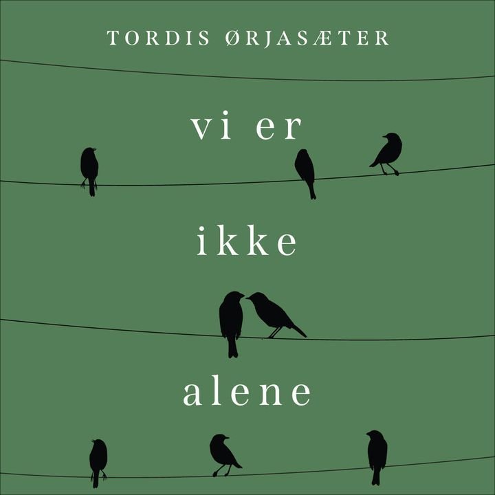 Vi er ikke alene - en personlig historie om annerledesbarnet i litteraturen