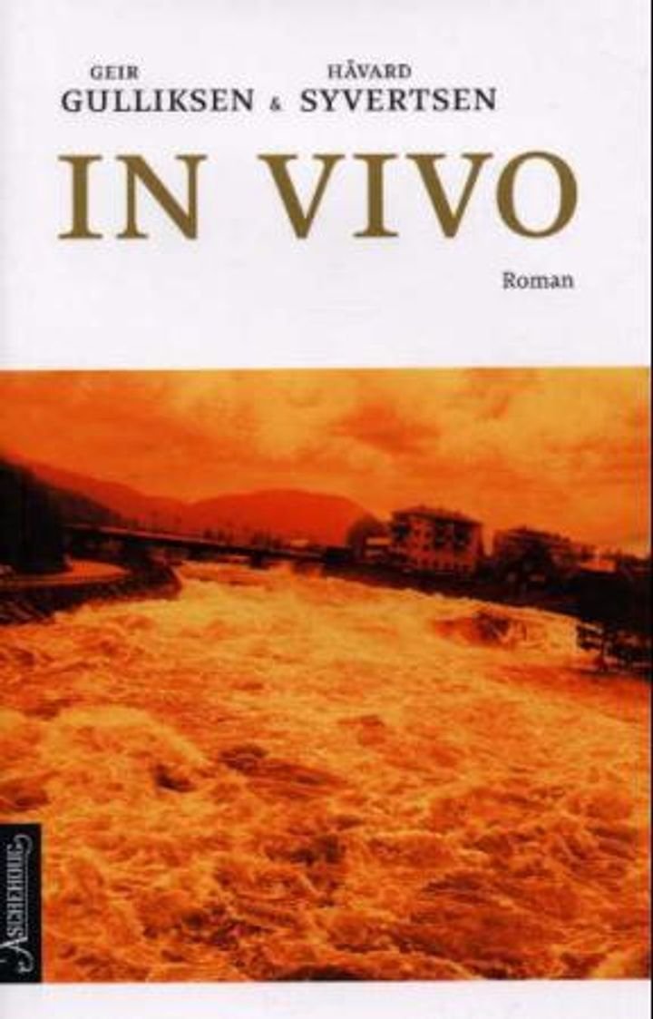 In vivo - roman
