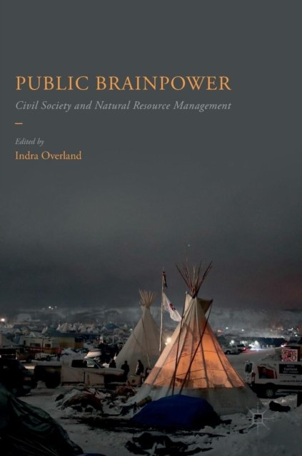 Public Brainpower
