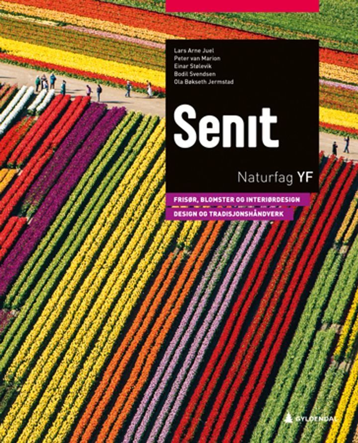 Senit - frisør, blomar, interiør og eksponeringsdesign : handverk, design og produktutvikling : naturfag YF