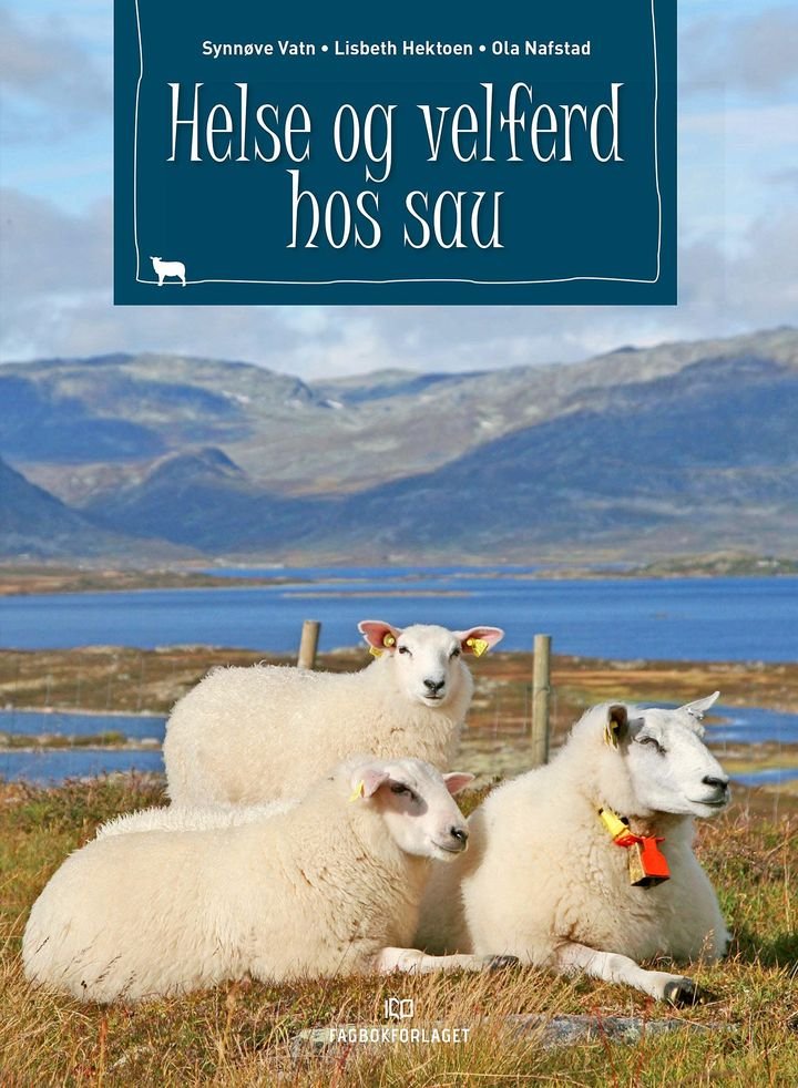 Helse og velferd hos sau