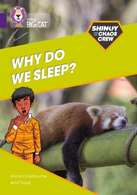 BIG CAT_SHINOY_WHY SLEEP?