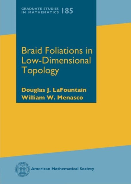 Braid Foliations in Low-Dimensional Topology
