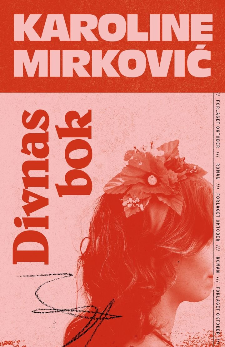 Divnas bok - roman