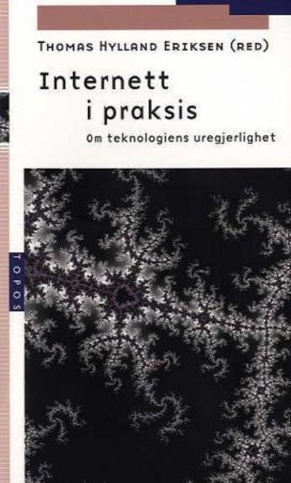 Internett i praksis