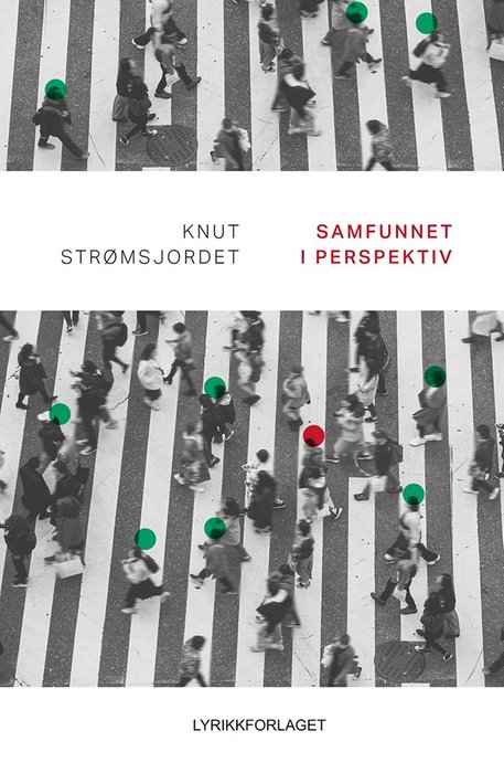 Samfunnet i perspektiv