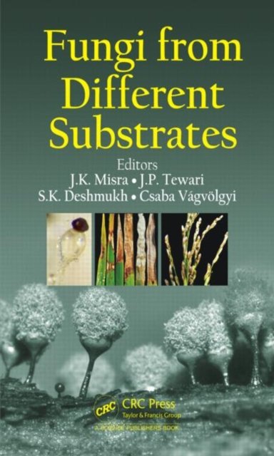 Fungi from Different Substrates