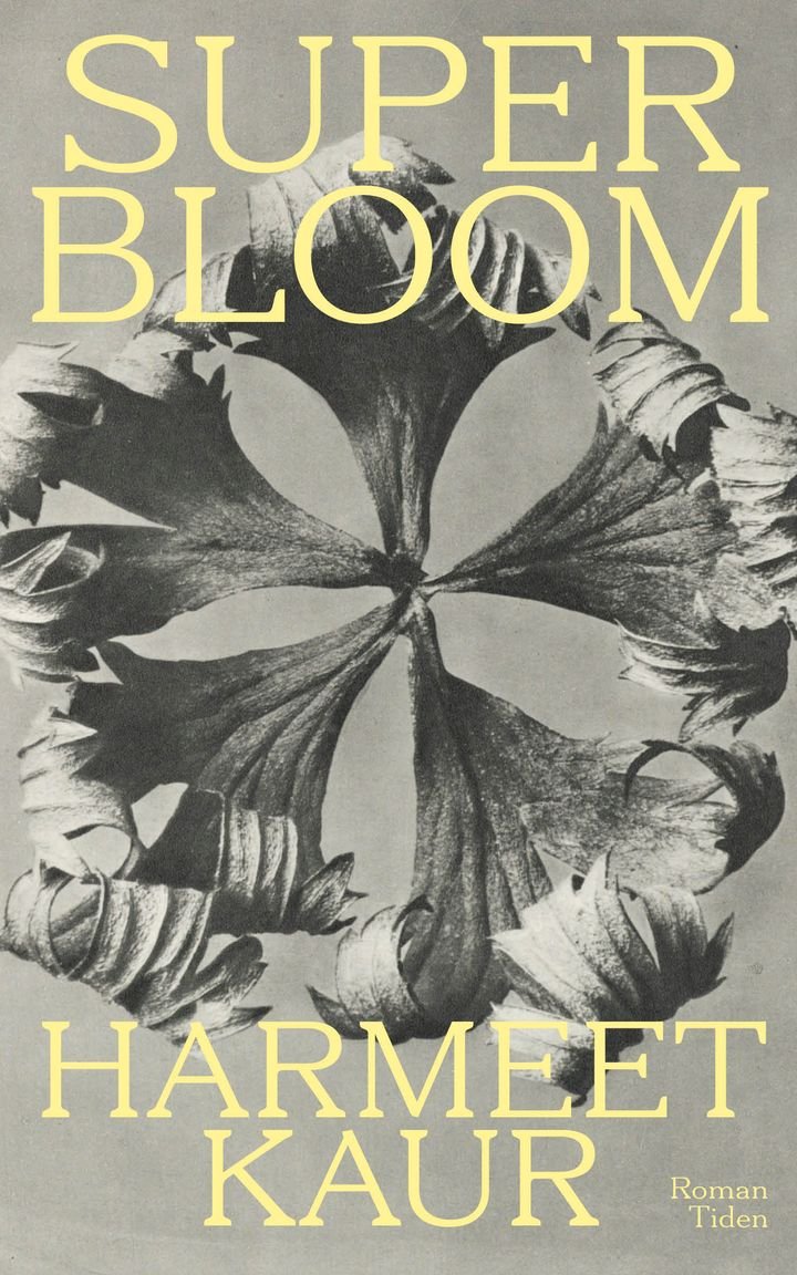 Superbloom