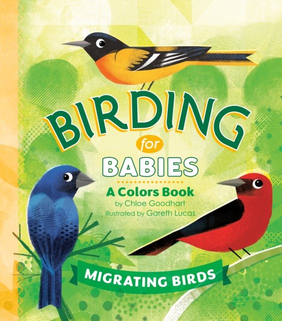 Birding for Babies: Migrating Birds