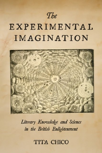 The Experimental Imagination