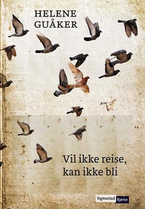 Vil ikke reise, kan ikke bli