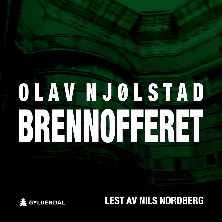 Brennofferet - Elie Ezerman-filmen verden aldri fikk se : roman
