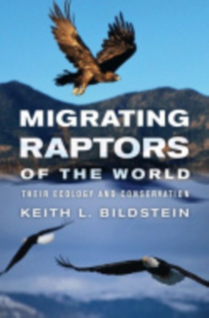 Migrating Raptors of the World