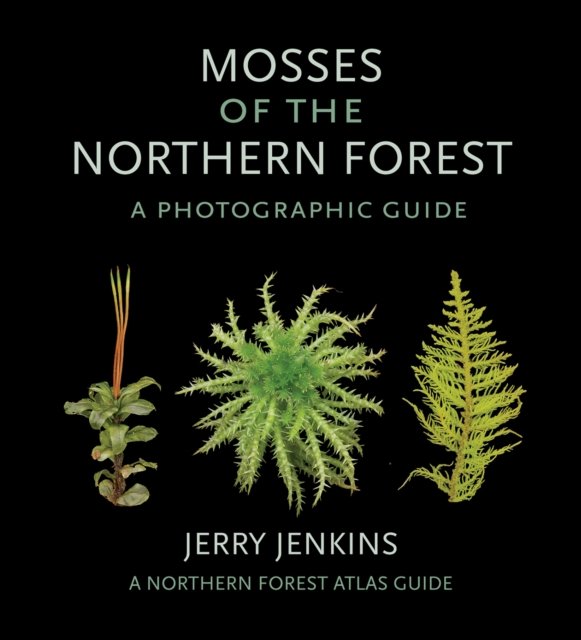 Mosses of the Northern Forest