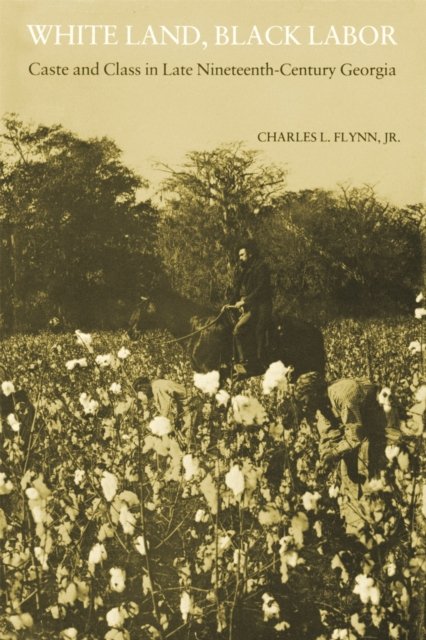 White Land, Black Labor