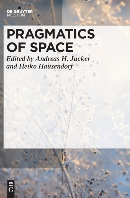 Pragmatics of Space
