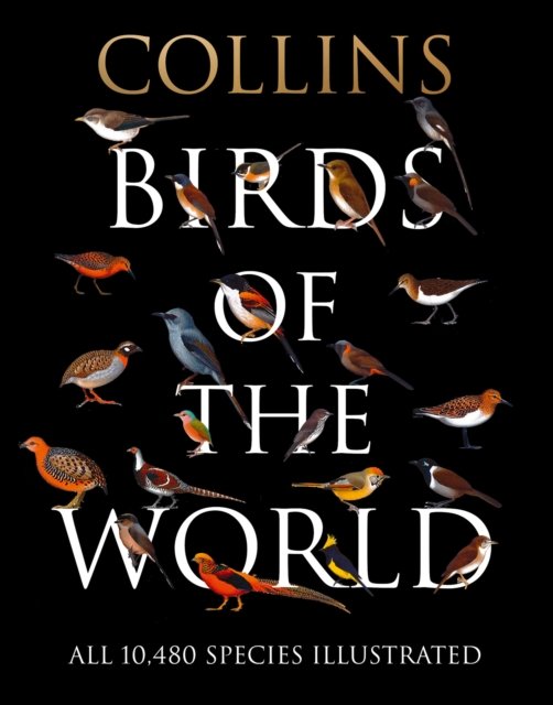 BIRDS OF WORLD HB