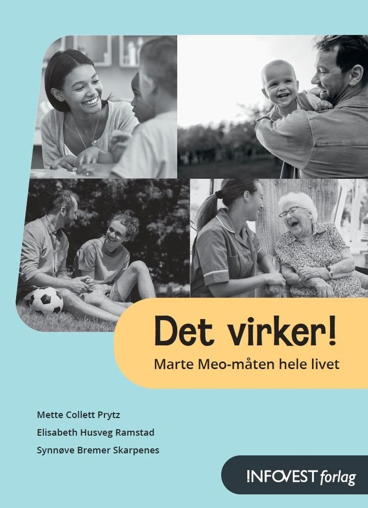 Det virker! - Marte Meo-måten hele livet