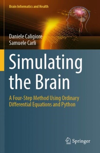 Simulating the Brain